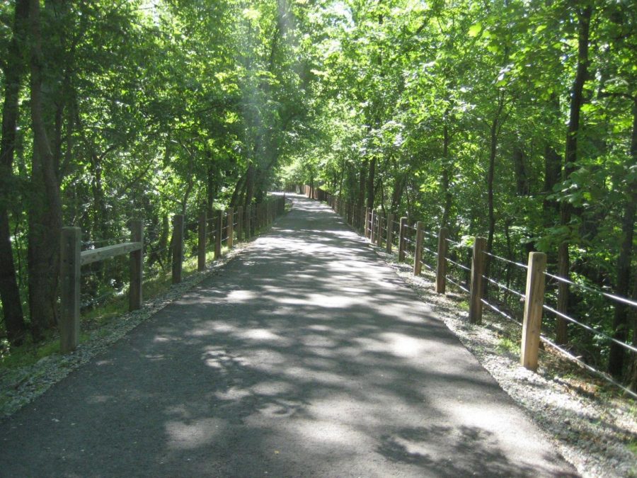 Part of the Greenway in shade
